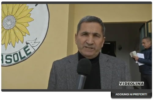 videolina girasole